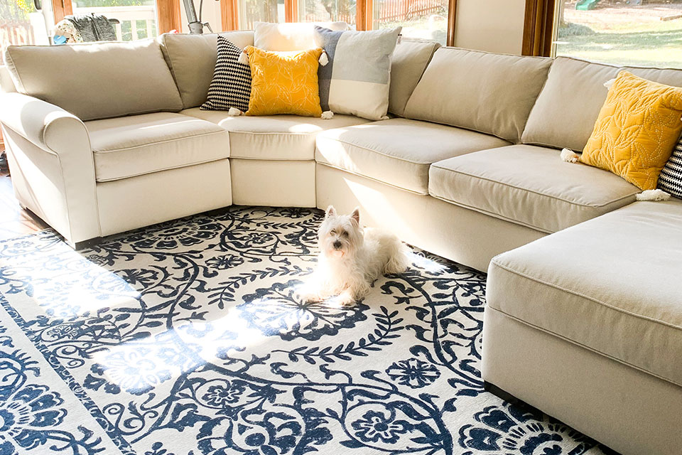 Black and white floral rug with beige couch, white dog and yellow pillow.