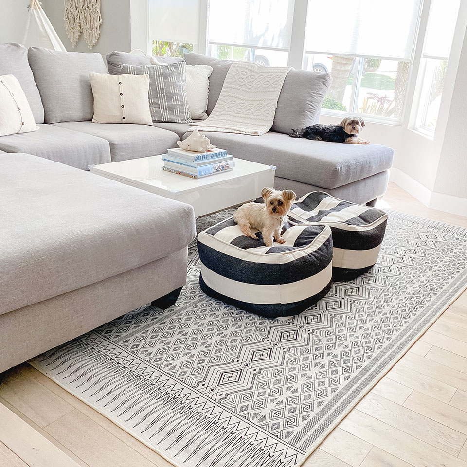 Black and white geometruc rug with dogs and light grey couch in white living room