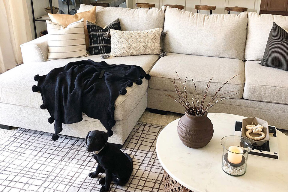 Cream Couch and Black Dog on Cream Rug in Living Room