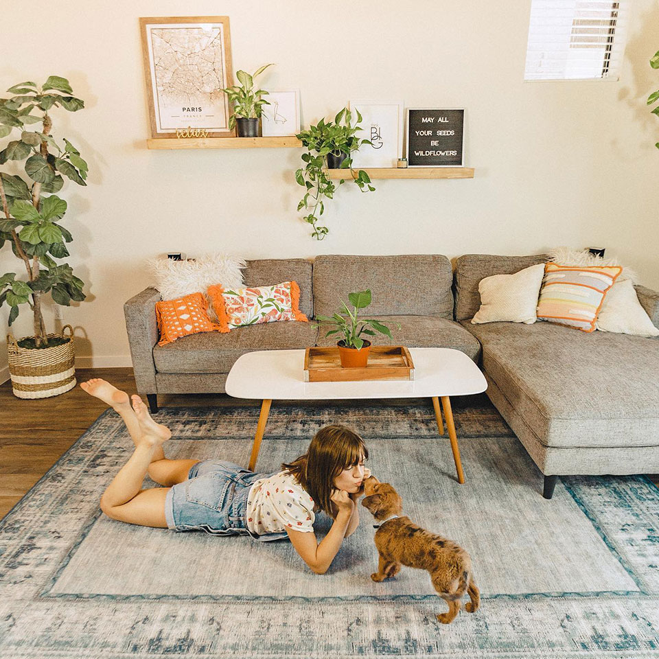 Vintage Daisy Bordered Blue Rug in Living Room with Girl and Dog