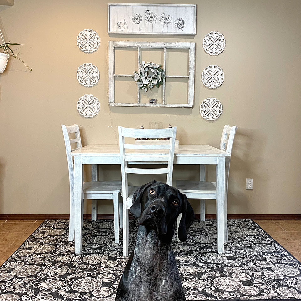 Mickey Damask Charcoal Rug with Dog in Dining Room