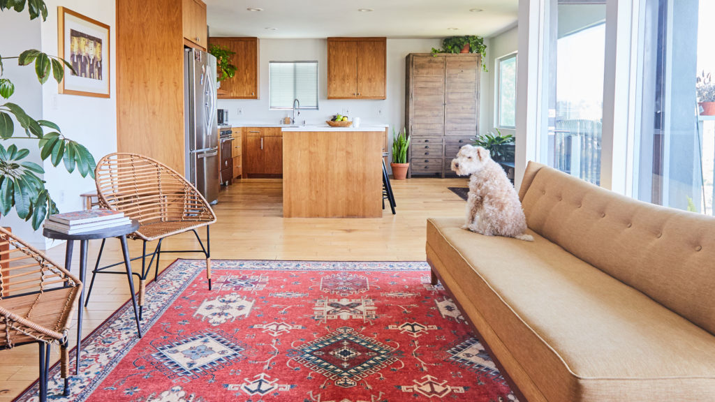 Kitchen and living room with brown couch and red rug and dog