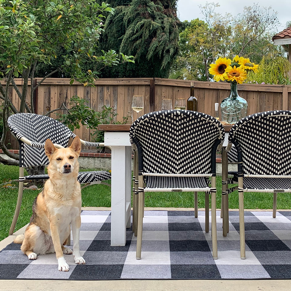 Black and white checkered outdoor rug under dining table with brown dog