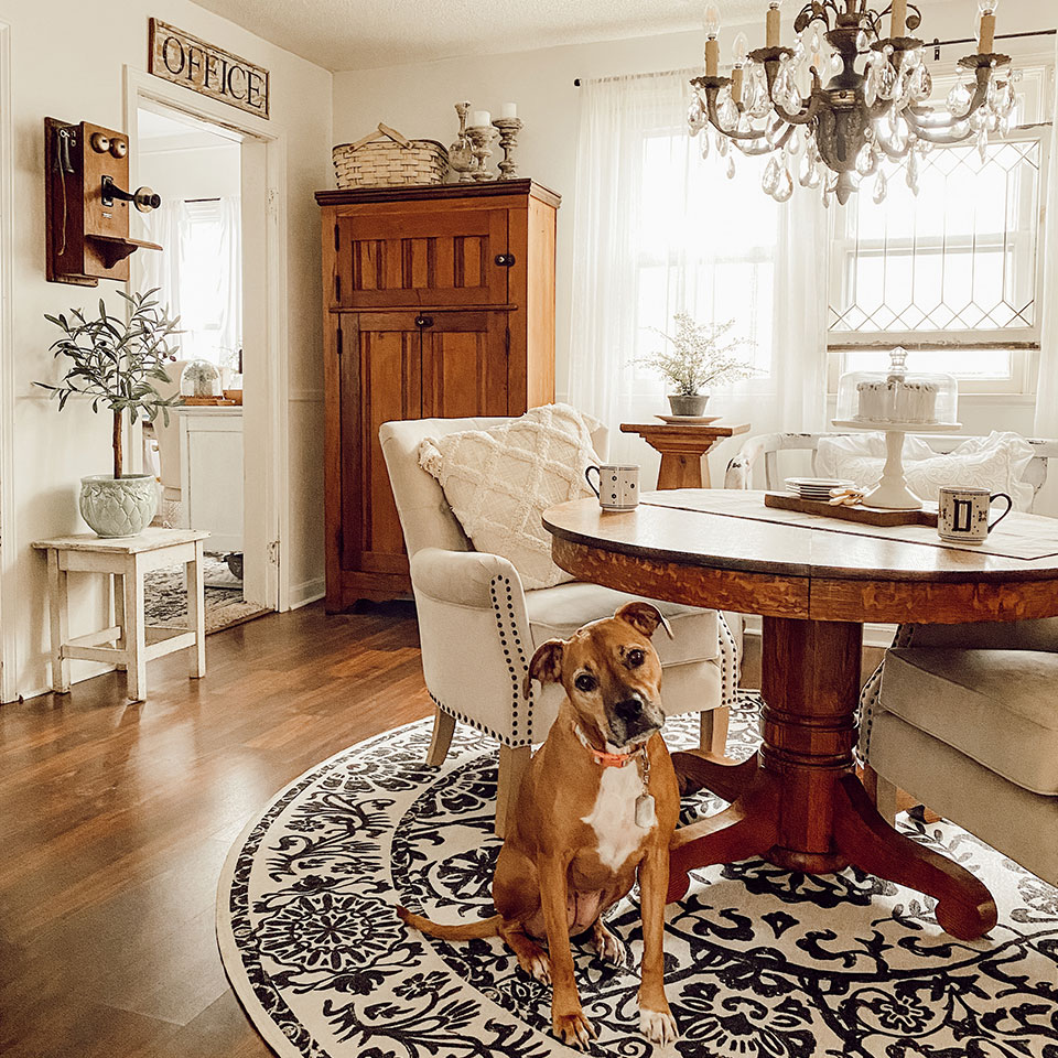 Black and white floral round rug under round wooden table and cream chairs with dog and chandelier