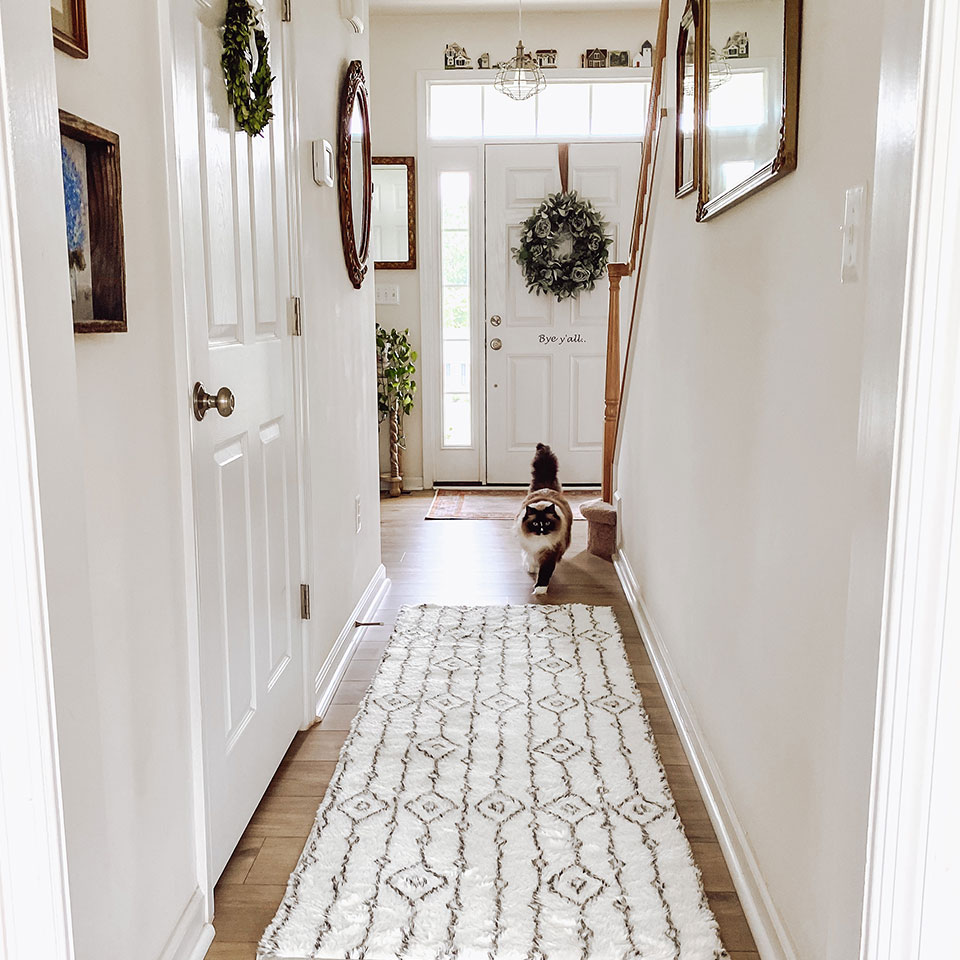 White plush runner rug in hallway with brown cat