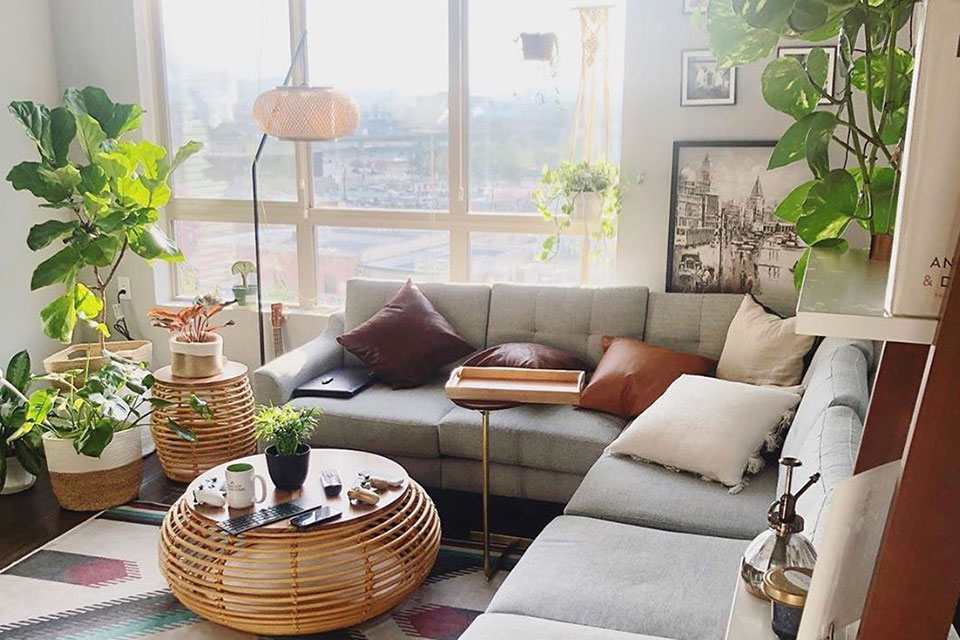 Sunny california living room by window with grey couch round coffee table and plants