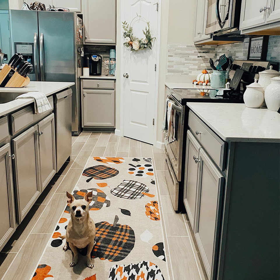 Orange and cream pumpkin kitchen runner rug with dog
