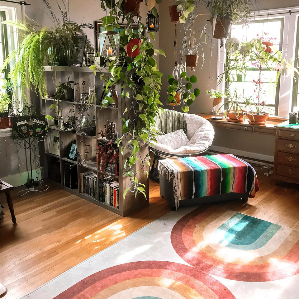 Rainbow rug by shelf papasan chair with white cushion and plants