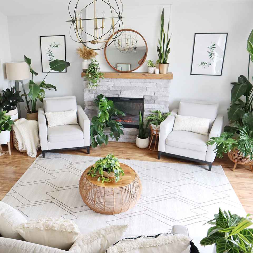 All white room with white walls white couch cream diamond rug round center table and plants