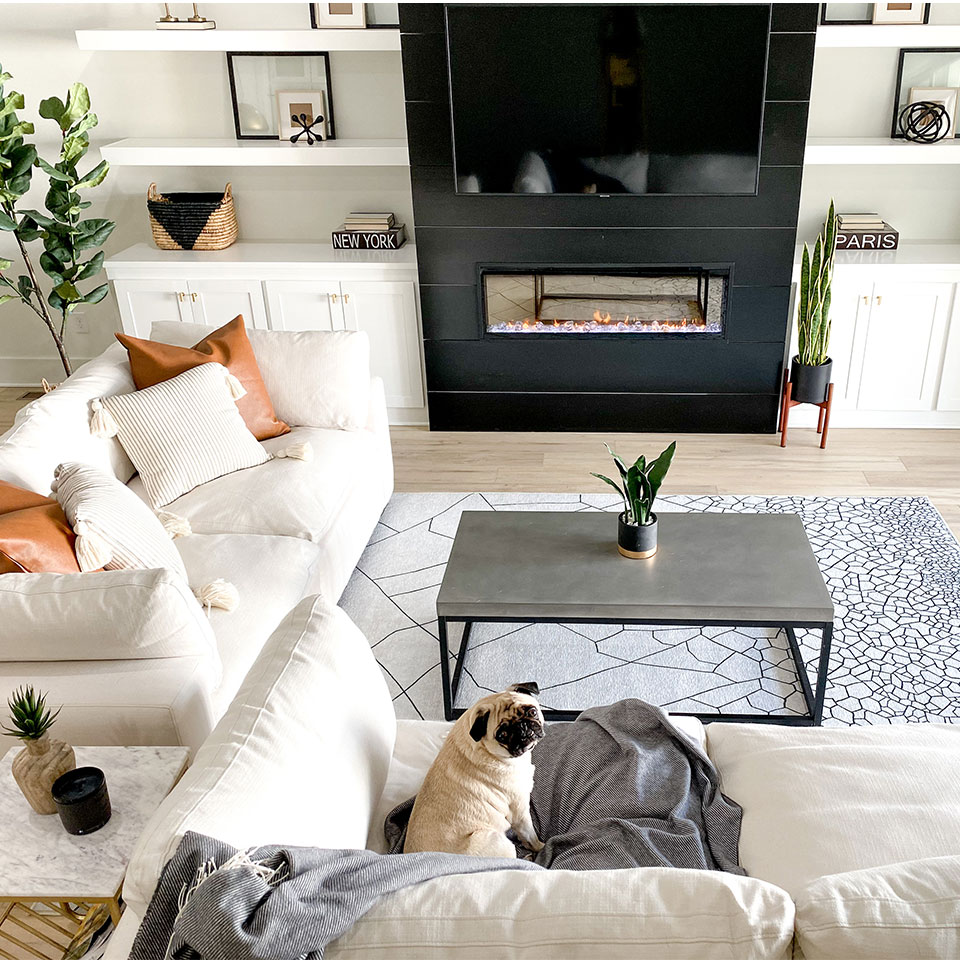 Modern black and white rug with white couch and dog by fireplace in living room