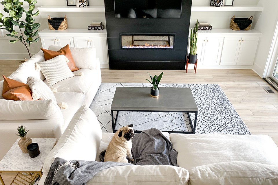 black and white rug with white couch in front of black fireplace in white living room