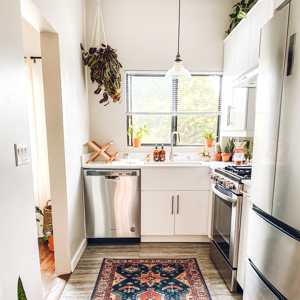 blue and red traditional rug in kitchen with plants