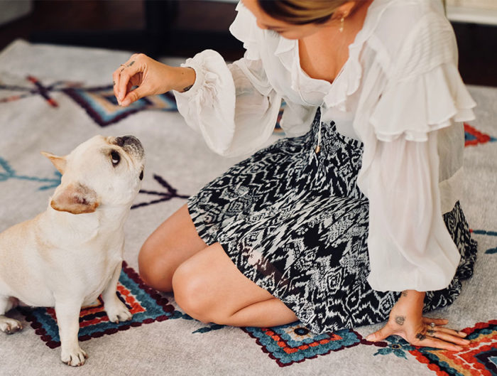 https://blog.ruggable.com/wp-content/uploads/2021/01/dog-and-pet-owner-in-living-room-on-colorful-rug-giving-treats-700x529.jpg