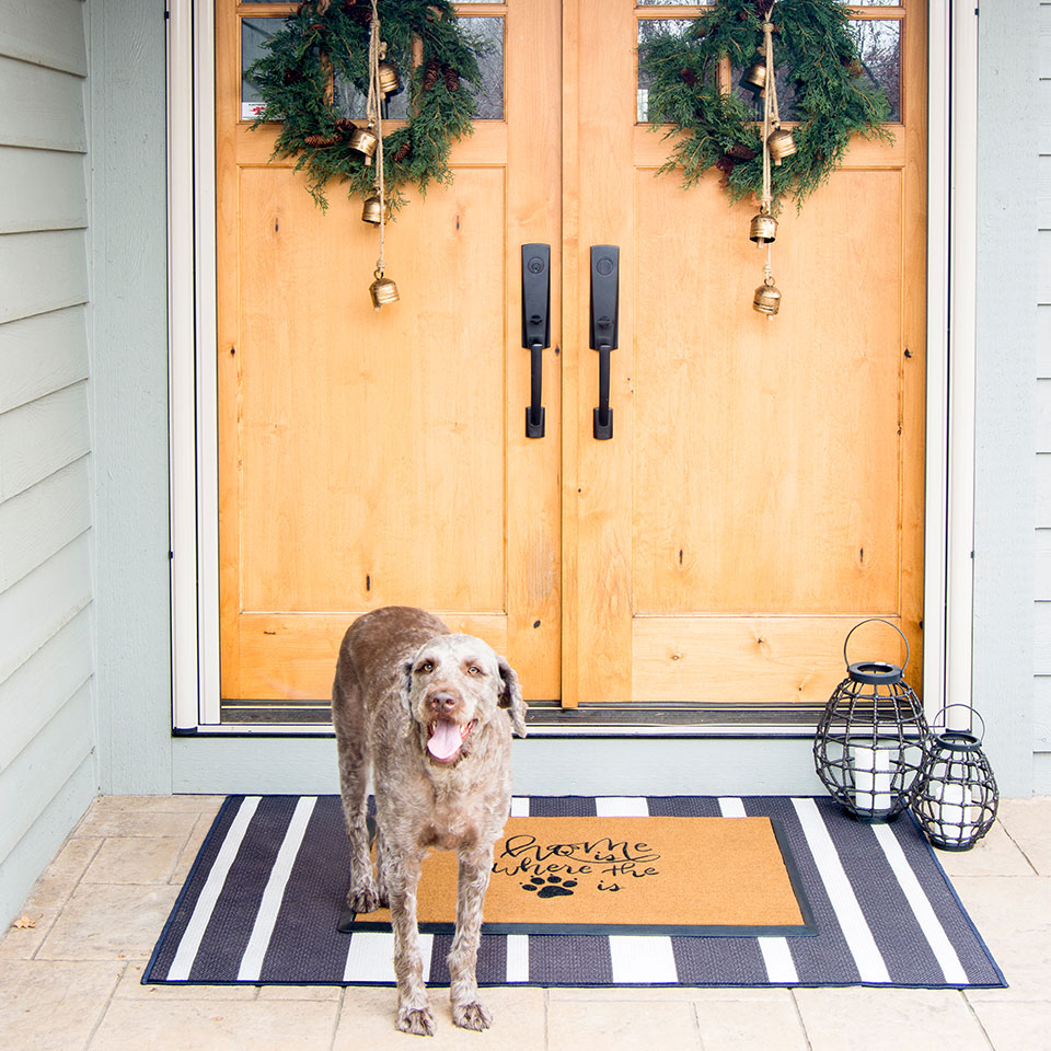 Brown dog on coir doormat and black and white striped outdoor rug by the front door with wreaths