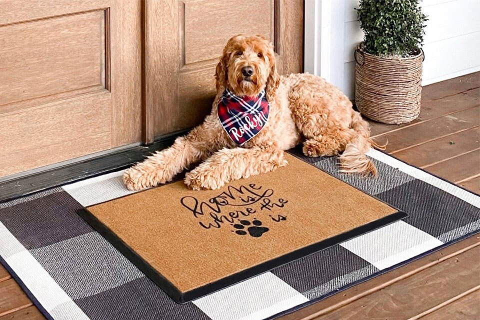 Washable coir and black doormat with text and brown dog on black and white checkered rug