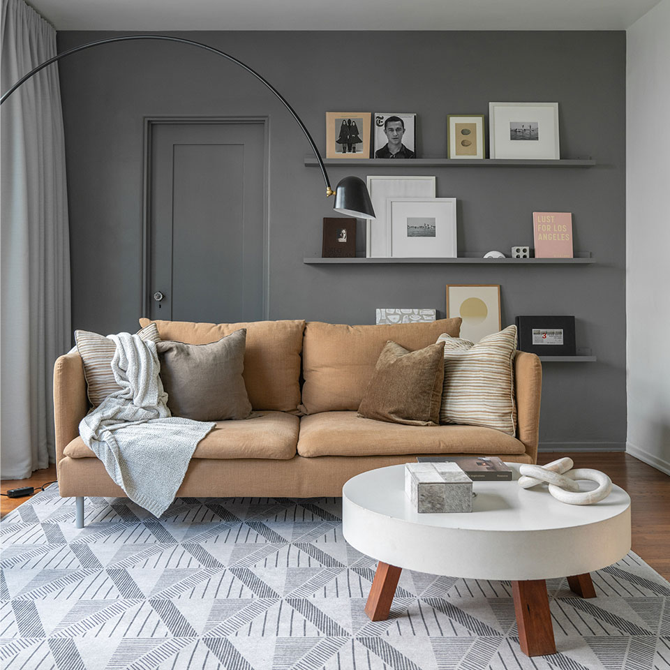small living room with grey rug