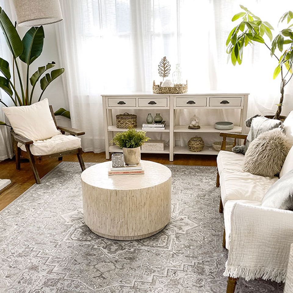 small living room with neutral monochrome decor and persian rug