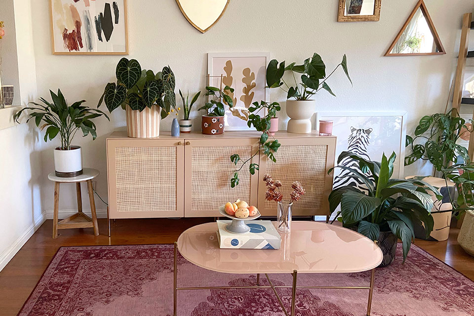 pink persian rug in living room with plants