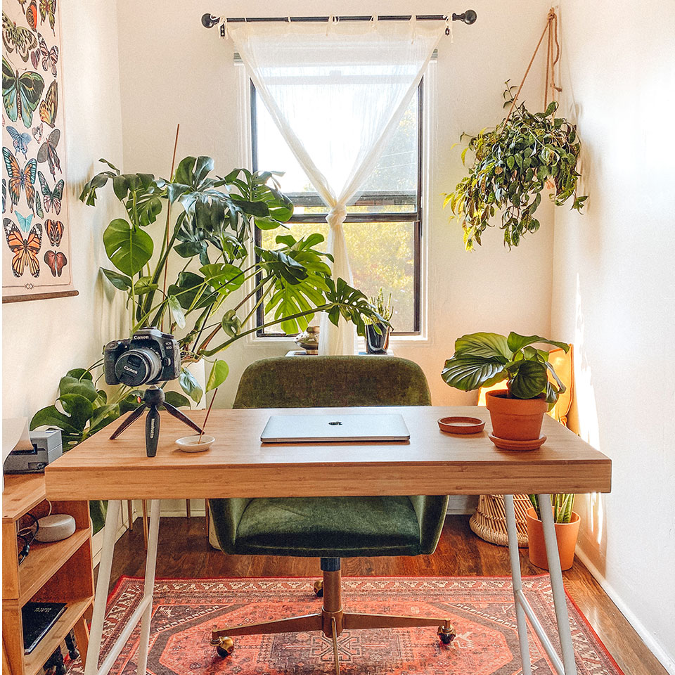 red persian style rug in office with plants