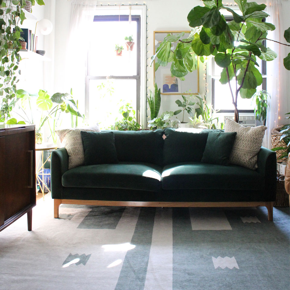 Green couch with green and cream rug with plants in the living room