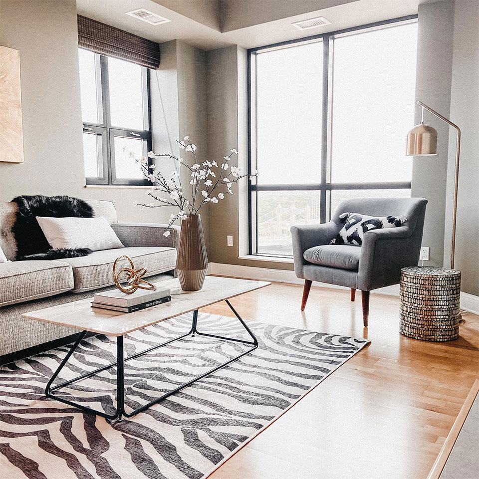 unique black and white zebra rug in living room