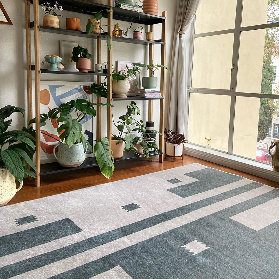 calming green rug in living room with bookshelves