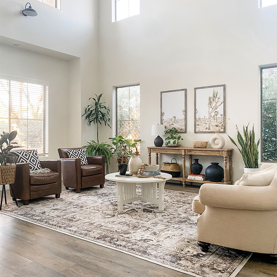 neutral brown persian rug in living room