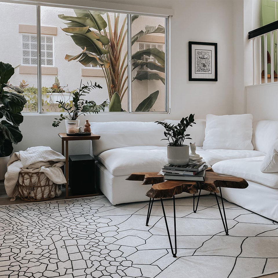 black and white rug in modern living room