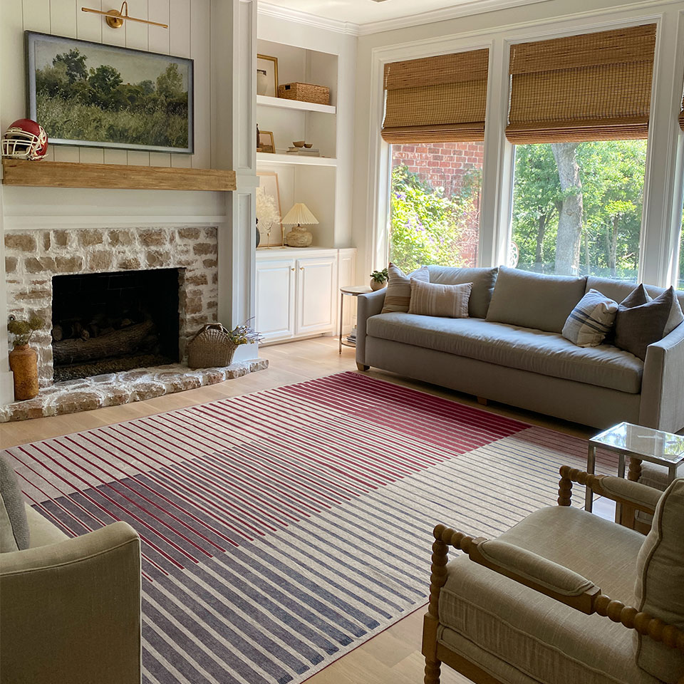 college area rug in living room
