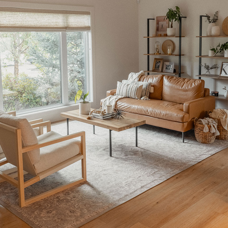 cream persian rug in modern living room