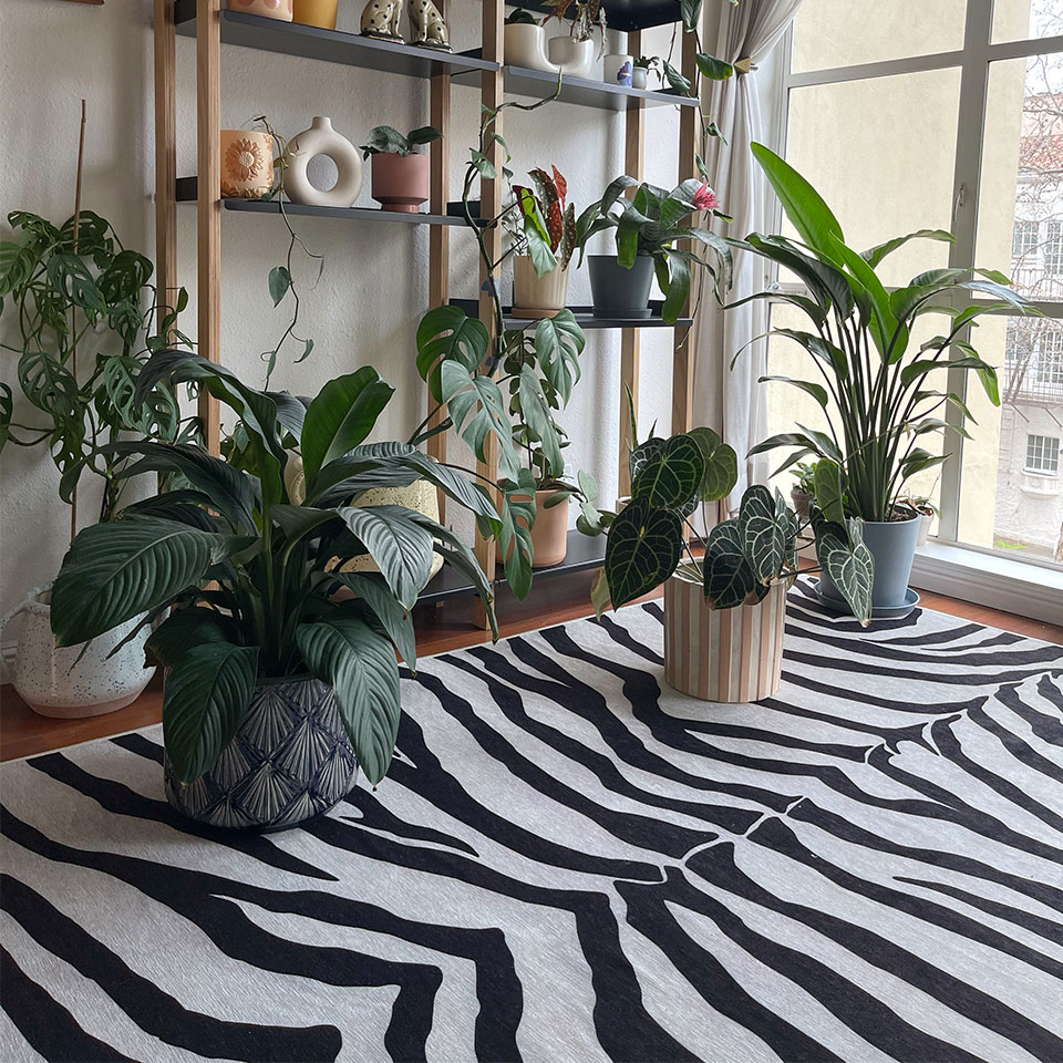 zebra animal print rug in living room