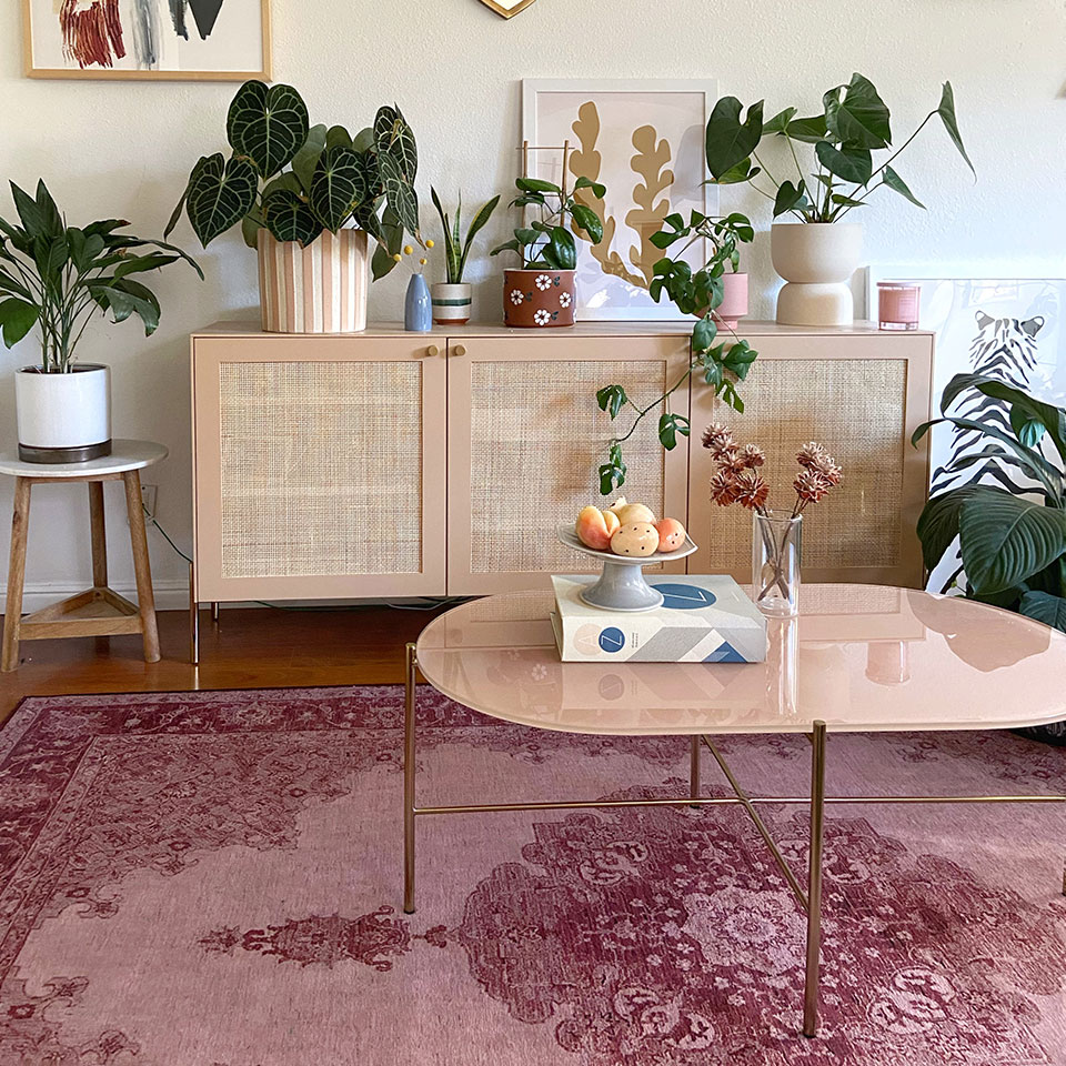 pink persian rug in living room