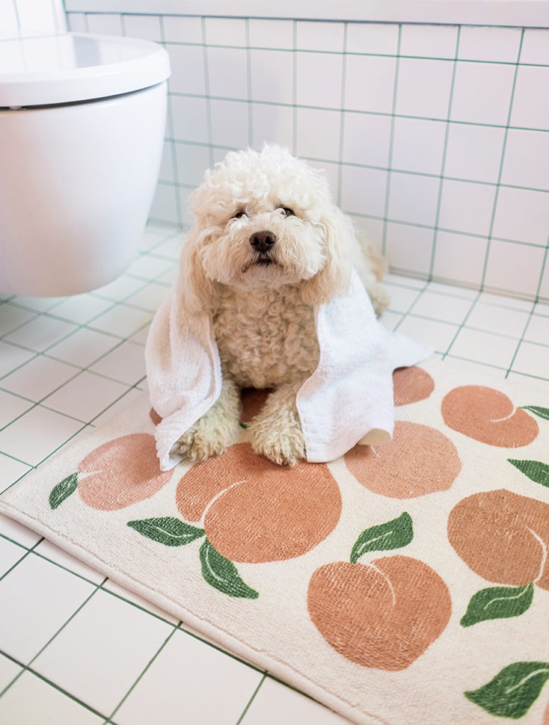 Everything You Need to Know About Ruggable's New Washable Bath Mats, The  Ruggable Blog